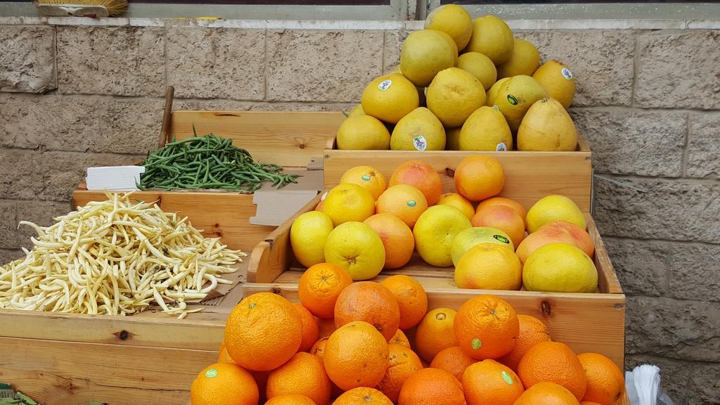 דירות חיפה הדירה של זוהר מראה חיצוני תמונה